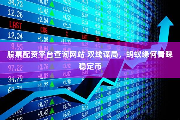 股票配资平台查询网站 双线谋局，蚂蚁缘何青睐稳定币